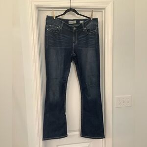BKE Denim Payton jeans